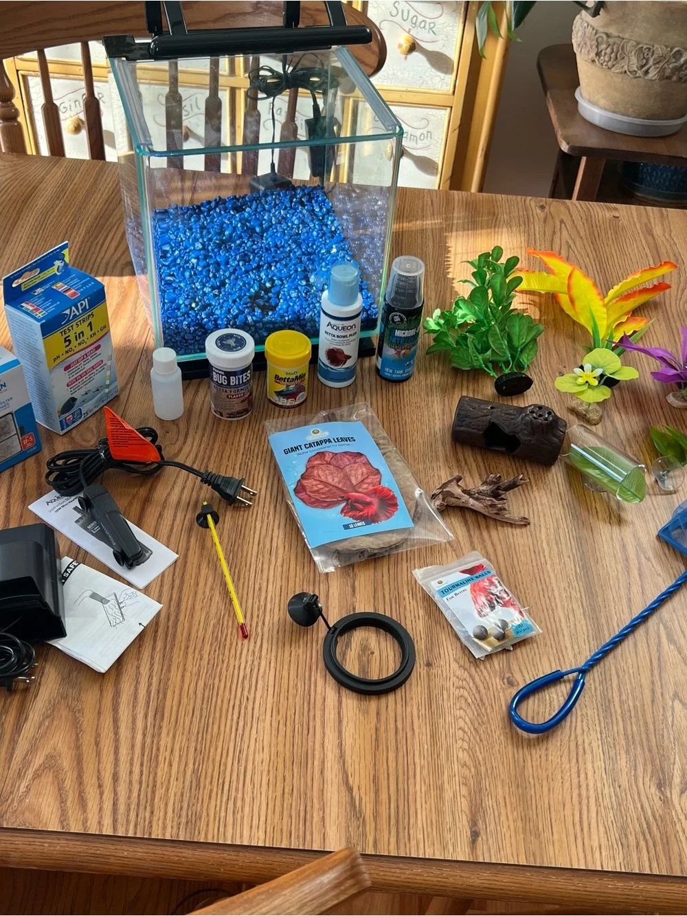 3 gallon aquarium kit